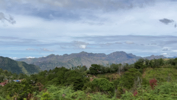 Kibungan’s Single Origin Arabica – Soil to Sip