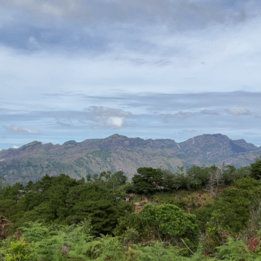 Besao’s Highland Arabica – Ridge to Roast
